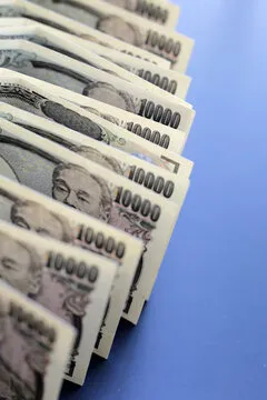 数据爱好者头像